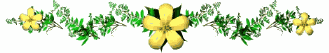 webr_yellow_flowers.gif